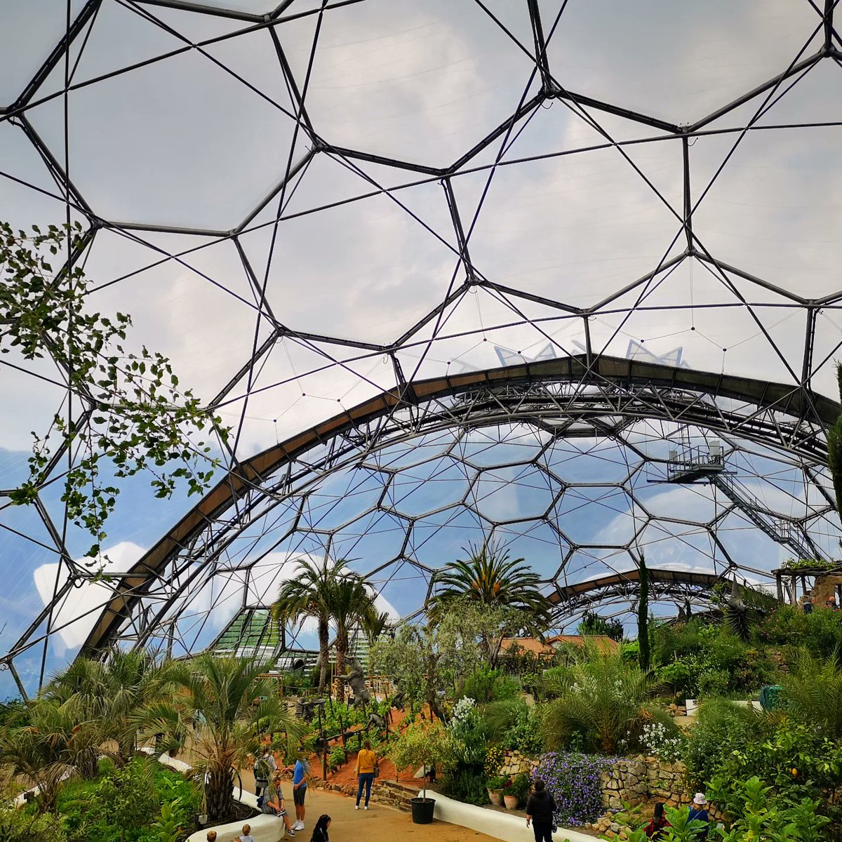 Andy Webb tweet media