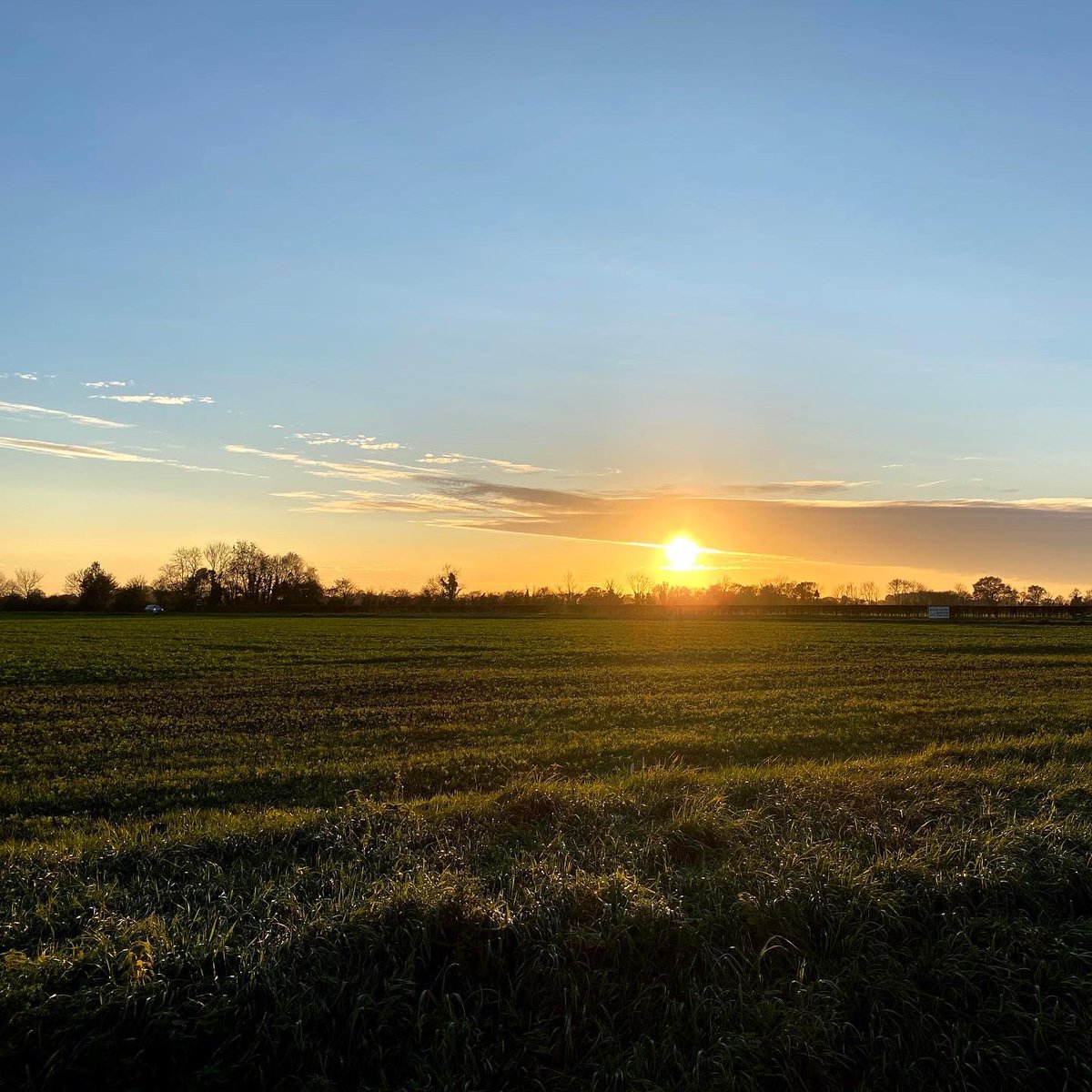 Picture the scene… it’s a gorgeous, early May evening &amp; you’ve just arrived at Goodies Food Hall… for dinner! YES, you read that right! We are open for dinner on Friday 6th May with a sensational menu to choose from. See here for the full menu goodiesfoodhall.co.uk/wp-content/upl…