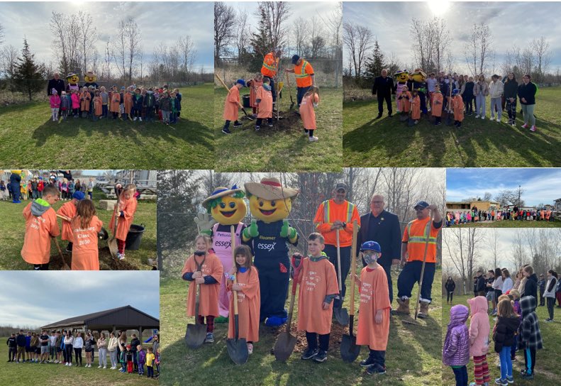 Colchester North tweet media