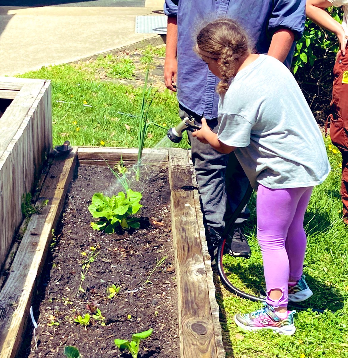 mandoloft's tweet photo. A @GR_Fit4Kids garden lesson is a perfect way to honor #EarthDay! Kg @GaeScubs displayed #LifeReady attributes engaged in #authentic #connected learning. Our youngest Cubs displayed #QualityCharacter #collaboration #Communication & #CriticalThinking @HenricoElem @HCPS_Innovates https://t.co/KWklv1vmXg
