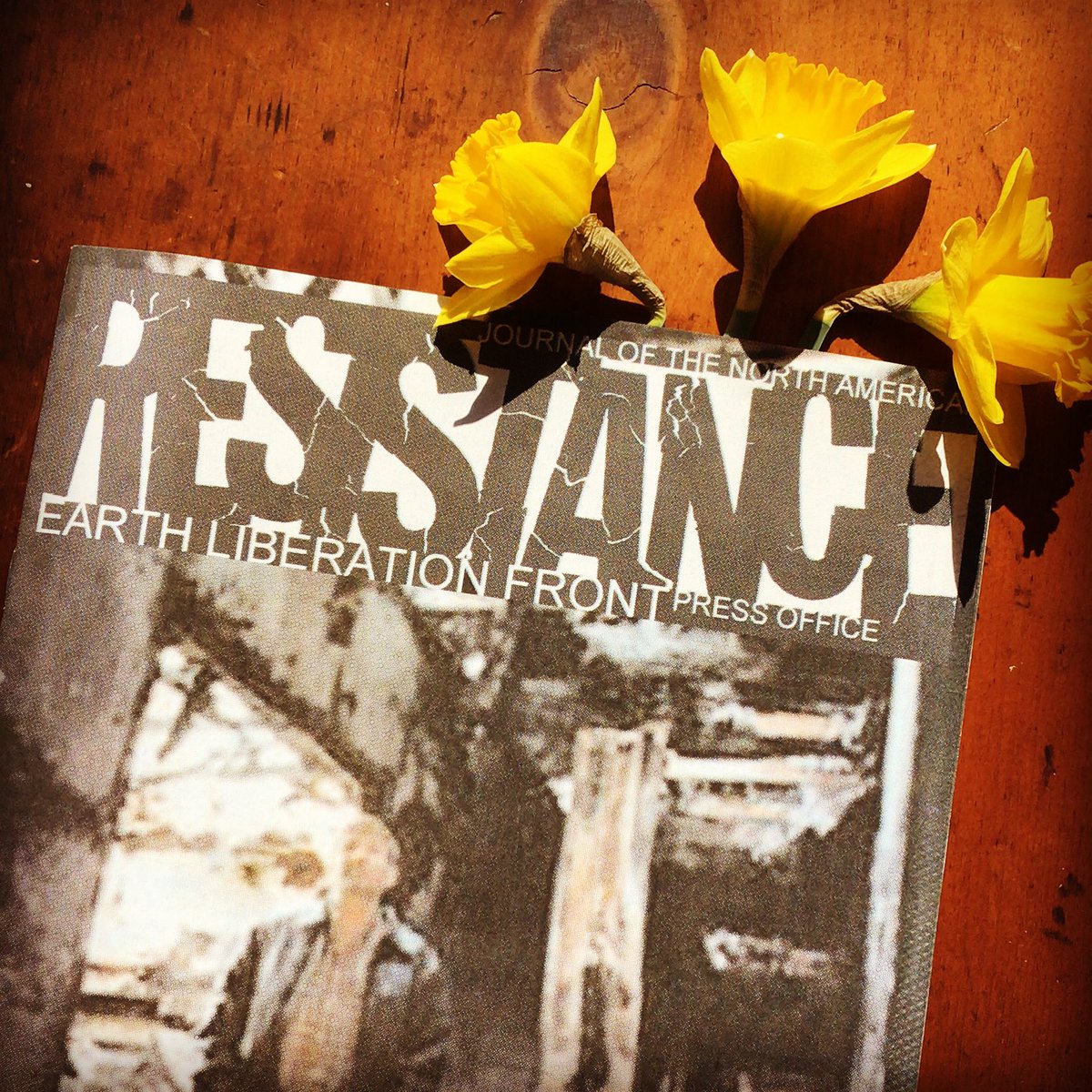 BurningBooks's tweet photo. #EarthDay #everydayisearthday #EarthNight #everynightisearthnight #earthliberation #earthliberationfront #vintage #Collectibles #original #undergroundnewspaper
https://t.co/Ys3Wt59xa3 https://t.co/2JK8wPdvHc