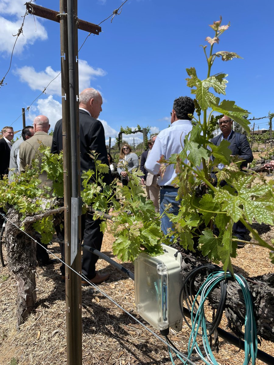 SoCalWaterComm's tweet photo. Taking a tour of Wilson Creek Winery today as prelude to our quarterly luncheon!
#cawater #wilsoncreekwinery #drought #waterusefficiency https://t.co/6wlYXwnCmc