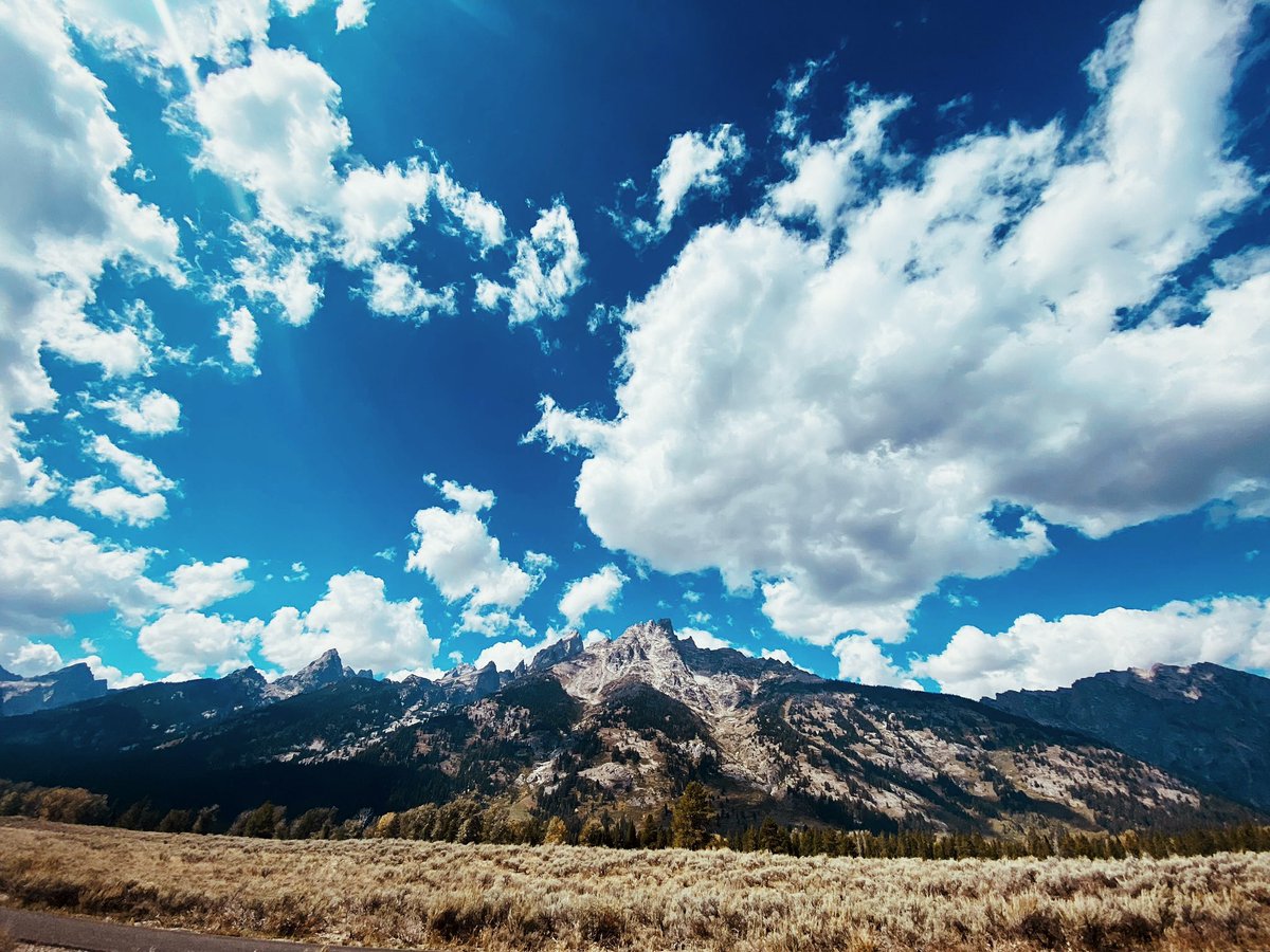 When you have a team as diverse as ours at <a href="/cartdotcom/">Cart.com 🛒</a>, the results are as diverse and beautiful as you might expect!