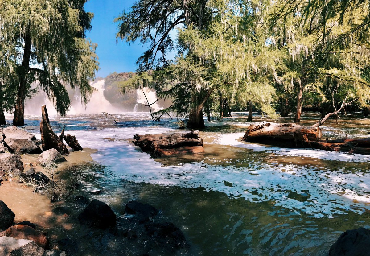 Omair Tariq tweet media