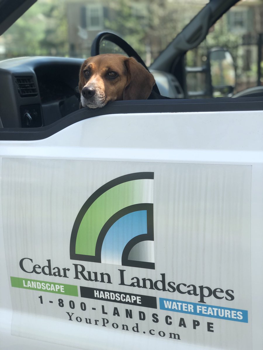 YourPond's tweet photo. Happy Earth Day everyone! Annie wants to remind you to call and order your #pineneedlemulch for the Spring! This #renewable and #sustainable mulch looks great in any home! We’ll be at #whitemarshtownshipday tomorrow, stop by and say hello! #happyearthday #dogsofinstagram https://t.co/5Pi6JWKblo