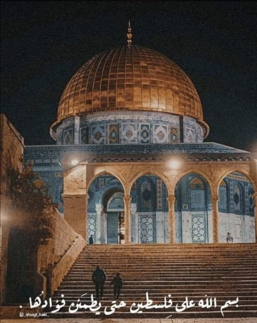 aalarfeh's tweet image. 