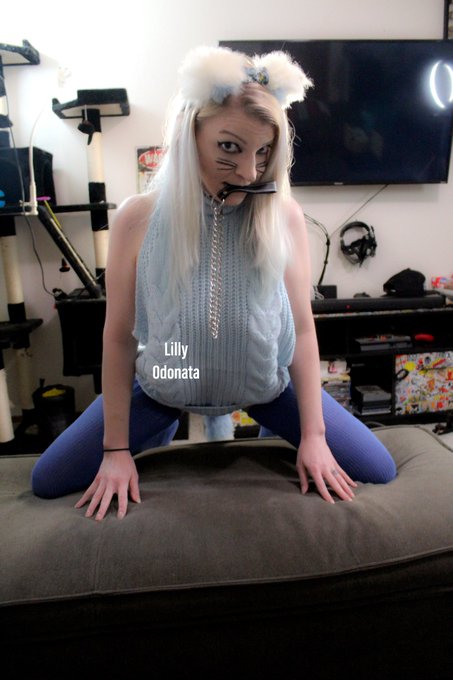 The catgirl+virgin killer sweater shoot went live today! Check my site in my bio for all of my links