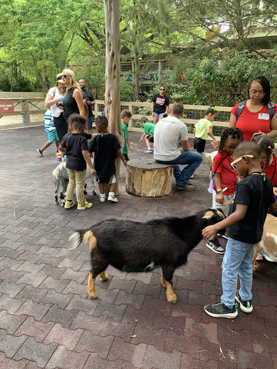 naomi_tapper's tweet photo. Goat encounter fun😍🥰@BrayiServe @brayelementary https://t.co/UazjUJOAih