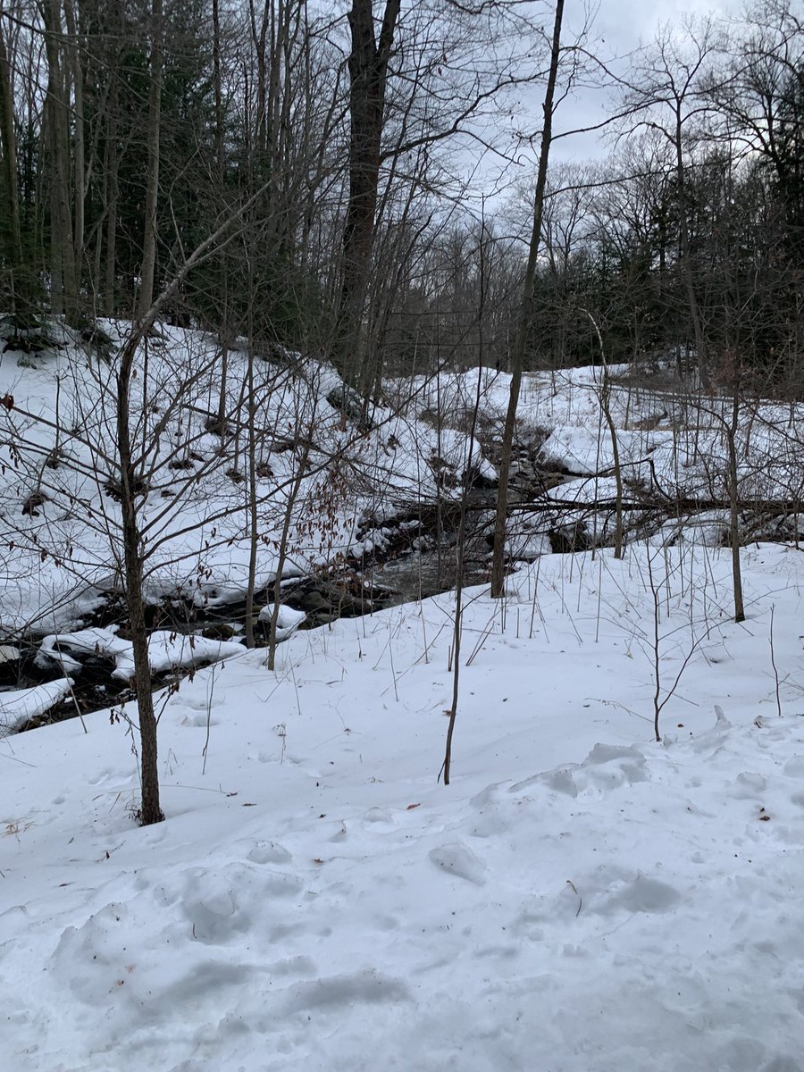 It’s Earf Day!!!!!!