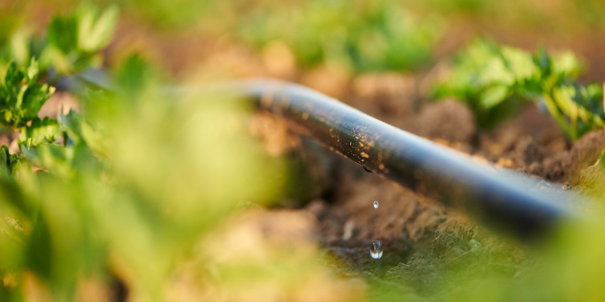 TheToroCompany's tweet photo. Small actions can make a big difference. This #EarthDay, join us and @WylandORG in supporting the National Mayor's Challenge for Water Conservation and pledge to do your part to conserve water, energy and natural resources in your community: https://t.co/g4XZ7bRJj2. https://t.co/m1pr5Widna