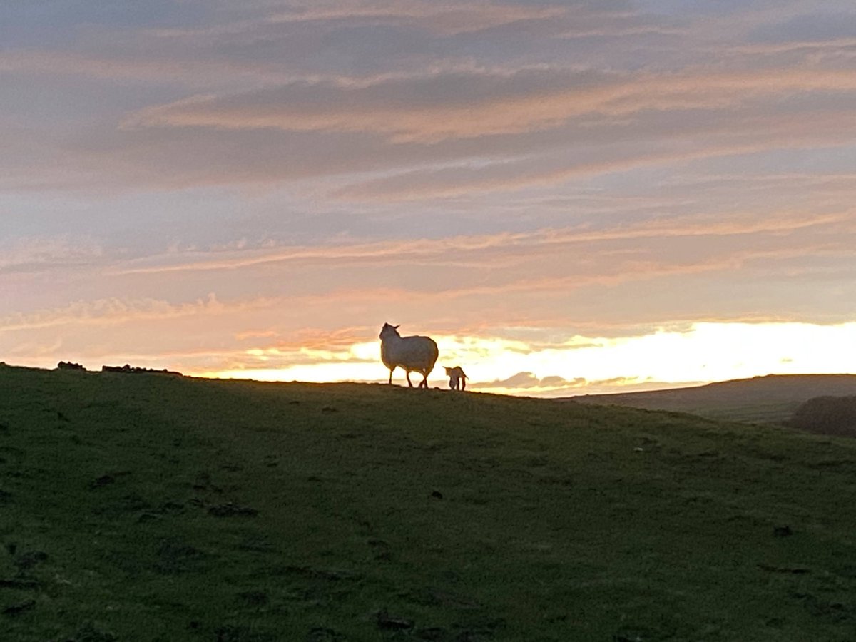 Breaks Fold Farm Glamping & Camping tweet media