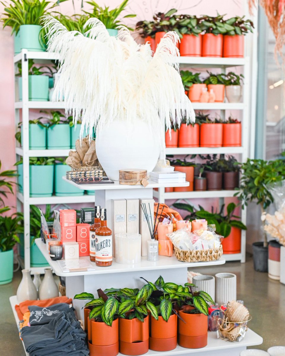 Love it or hate it pampas always steals the show especially when it’s this fluffy 🤩 Drop a 🌾 emoji if you love #pampasgrass !
.
.
.

#myfloraldays  #fineartflorals #ihavethisthingwithflowers #driedflowers #driedflorals #colorfulpampas #driedarrangement #everlastingflowers