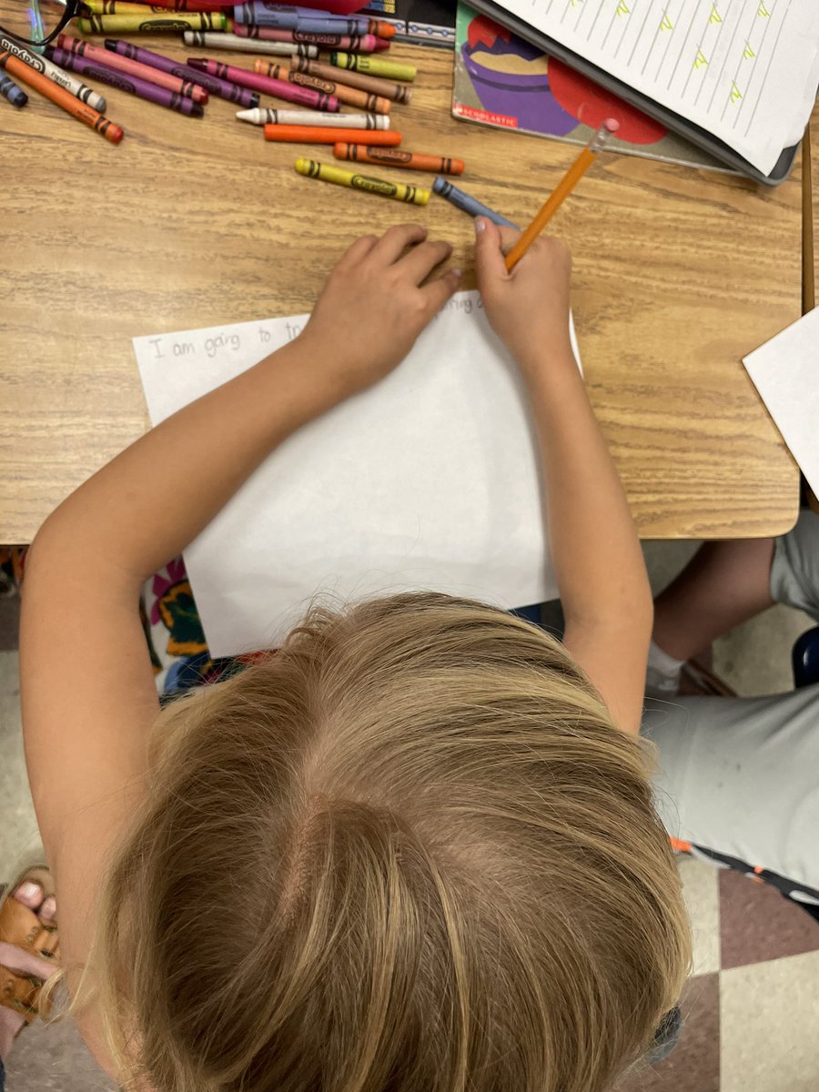 ameliahevans's tweet photo. Student data conferences and goal writing have these @NHESPK6 2nd graders ready to tackle the last few weeks of school! #3rdgradeready #readysetforwardmcss @MadCoSchools https://t.co/MgCHH1JpzF