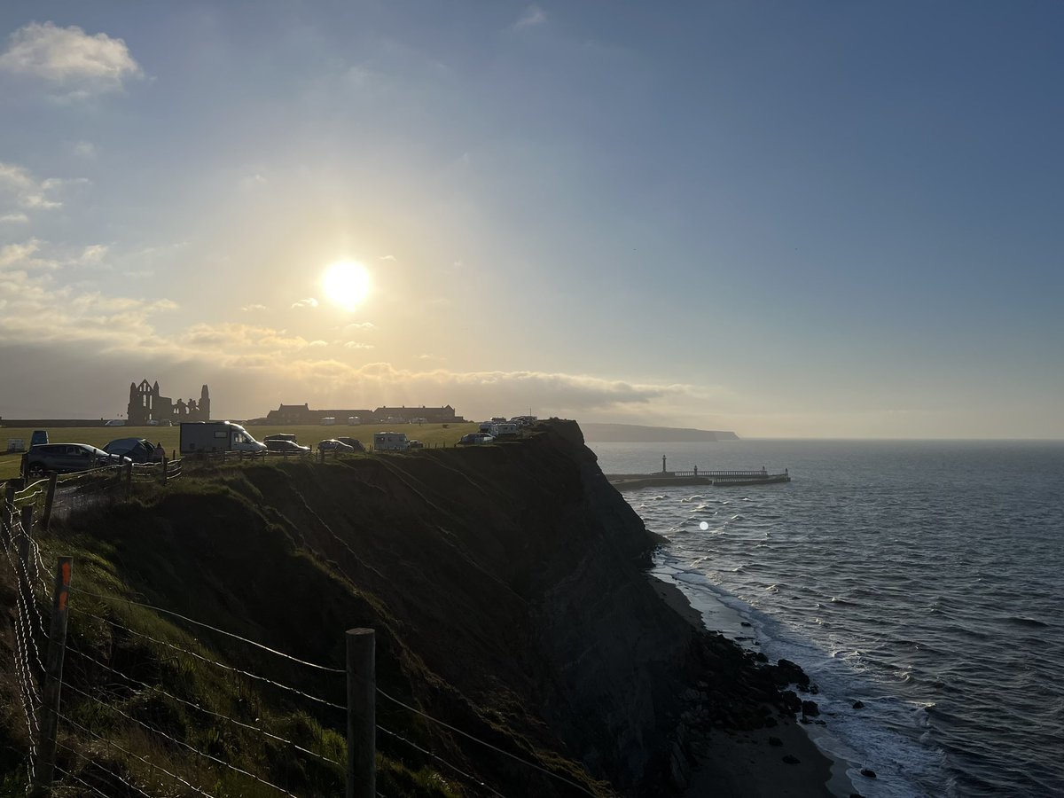 Stevie Roden tweet media