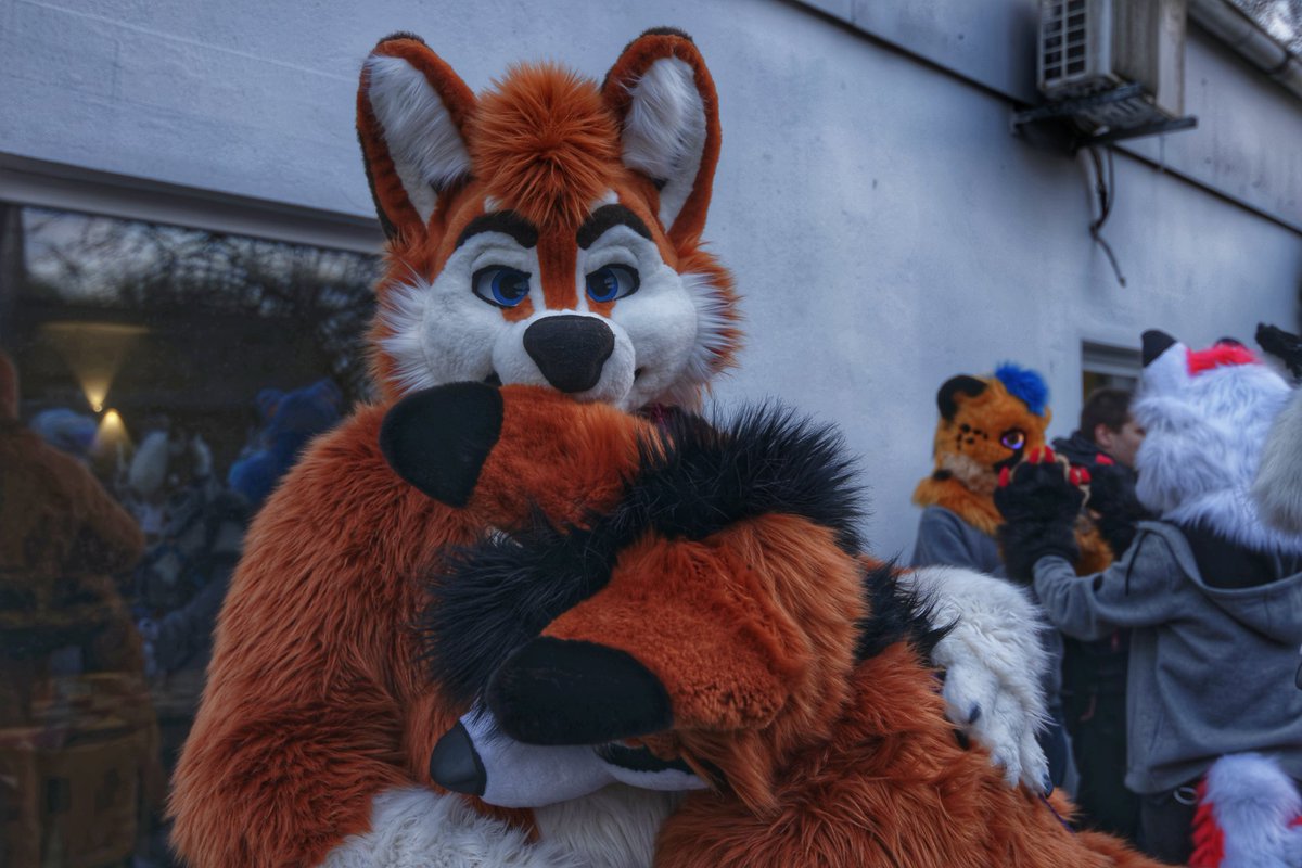 The Smol 🦊 (@rotfellfox) on Twitter photo He gave a rose and got a fox 🥰
🐶 <a href="/FloekeWusky/">Floeke</a>
📷 <a href="/pupp_arlo/">pupp_arlo</a>
🪡 <a href="/AlphaDogsStudio/">Alpha Dogs</a> <a href="/TheKarelia/">TheKareliaFursuits 🔜 EF29, Furnavia.</a>
#FursuitFriday #furry #furryfandom #fursuit He gave a rose and got a fox 🥰
🐶 <a href="/FloekeWusky/">Floeke</a>
📷 <a href="/pupp_arlo/">pupp_arlo</a>
🪡 <a href="/AlphaDogsStudio/">Alpha Dogs</a> <a href="/TheKarelia/">TheKareliaFursuits 🔜 EF29, Furnavia.</a>
#FursuitFriday #furry #furryfandom #fursuit