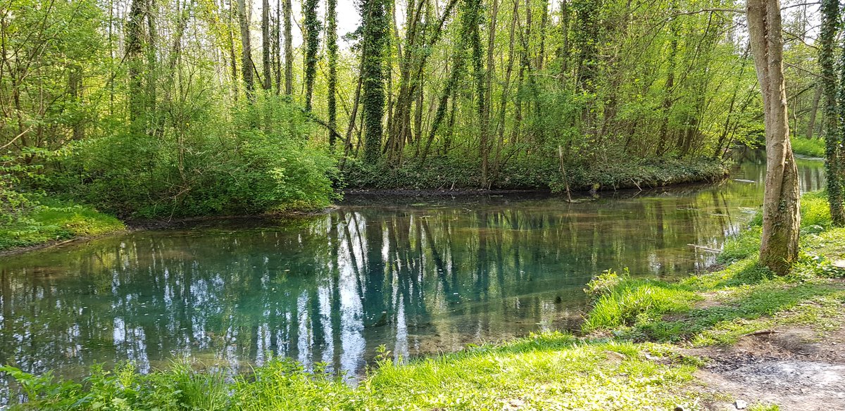EkoLogIt's tweet photo. Went to see the #Abyss close to where I live & look at this crazy colours of blue 😍 The largest pit is 6 m deep and 6 m in diameter (~160 m3) & literally named the #Abyme in 🇨🇵 The water is coming from ground level springs & it used to swirl & form whirlpools in the past https://t.co/DvcvtlZonn