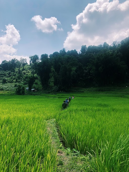 UMabroad's tweet photo. Happy Earth Day! You could do your part to help our planet by studying sustainability in Denmark, Italy, Ecuador, Senegal, Thailand, and more...https://t.co/EPVYKSafhY https://t.co/Ck7We5Tf3P