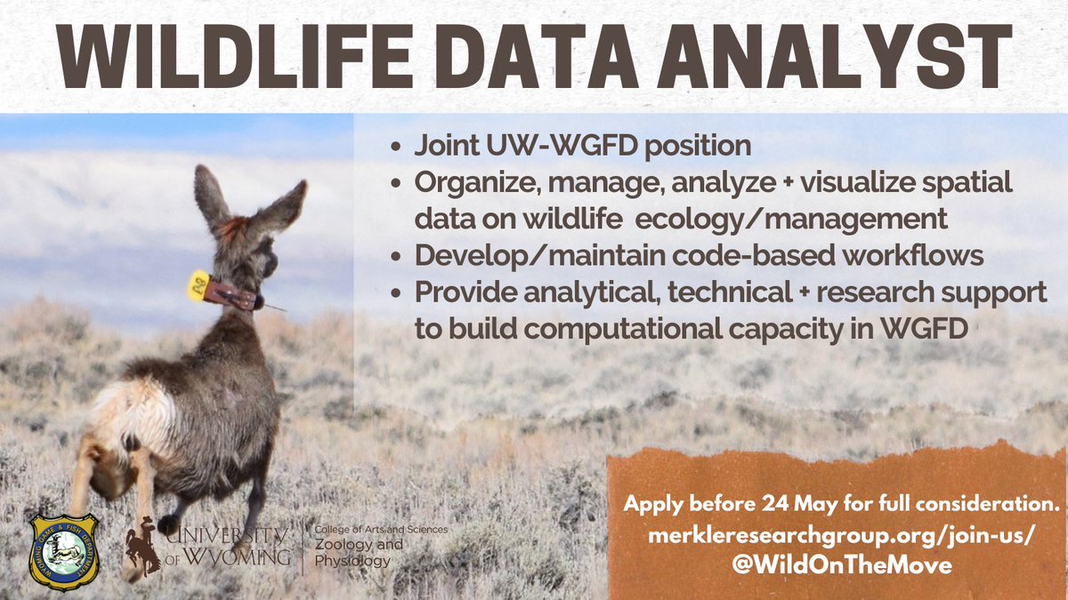 We have another #DataScience oriented, #MovementEcology position available! This is a joint data analyst with University of Wyoming and Wyoming Game and Fish Department. #wildlifemanagement! Need MS to apply. Click here for more details: merkleresearchgroup.org/join-us/.