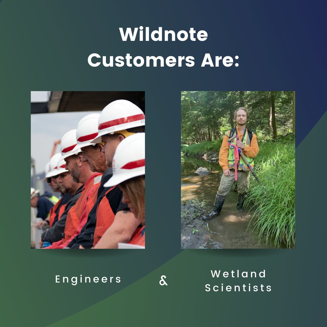 Wildnote tweet media