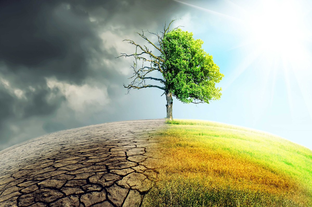 Strategy Hub tweet media