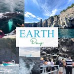 Photo by O'Brien's Boat Tours (@obrienstours)