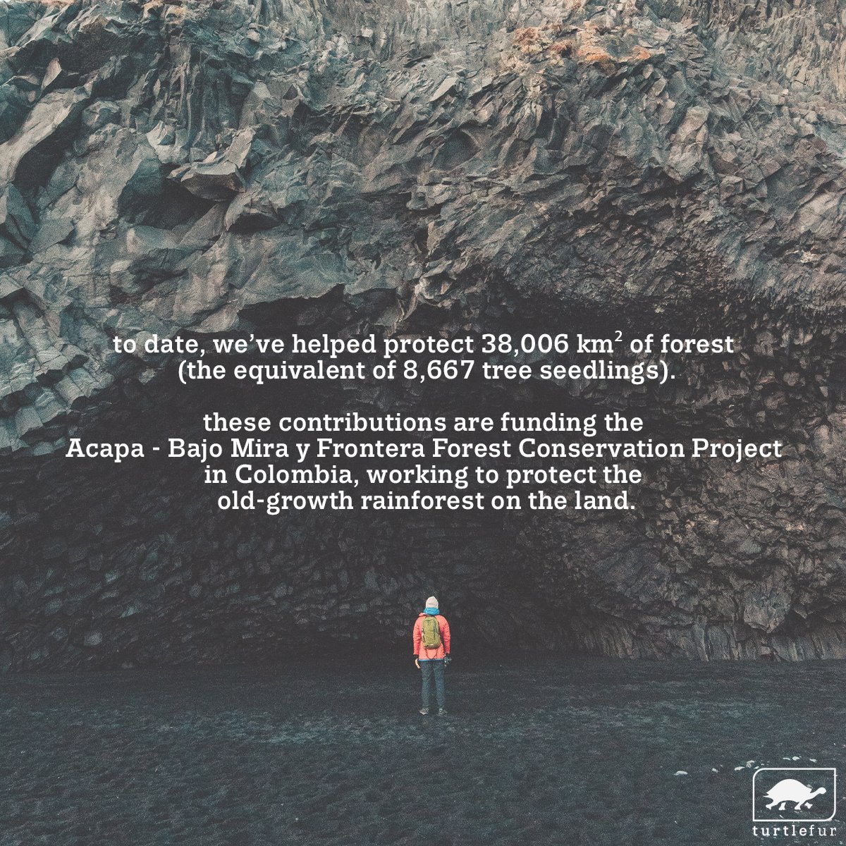 turtlefur's tweet photo. did you know that we offset the carbon emissions for every order placed on our website? 👣 #earthday2022 https://t.co/AJYc5q39UY
