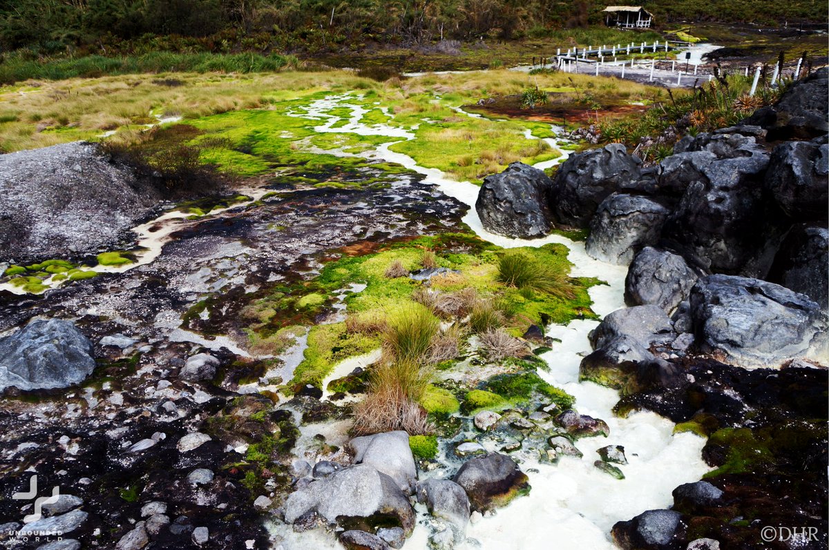 🍃“In an exquisitely diverse country, no ecosystem is as unique and directly integrated into the #Health and well-being of colombian society as the High Andean #páramo.”<a href="/DHRasolt/">Daniel Henryk Rasolt</a>. Happy #EarthDay2022 ! 🌎 <a href="/Revelator_News/">The Revelator</a> <a href="/CenterForBioDiv/">Center for Biological Diversity</a> <a href="/inst_humboldt/">Instituto Humboldt</a> bit.ly/3vFmDP0
