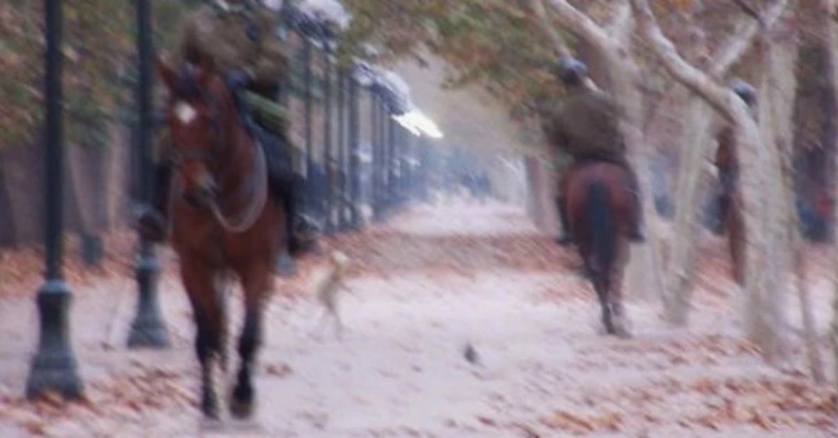 Cambiadechannel's tweet image. ustedes son muy jovenes pero en el año 2004 un extraterrestre caminaba por el parque forestal.