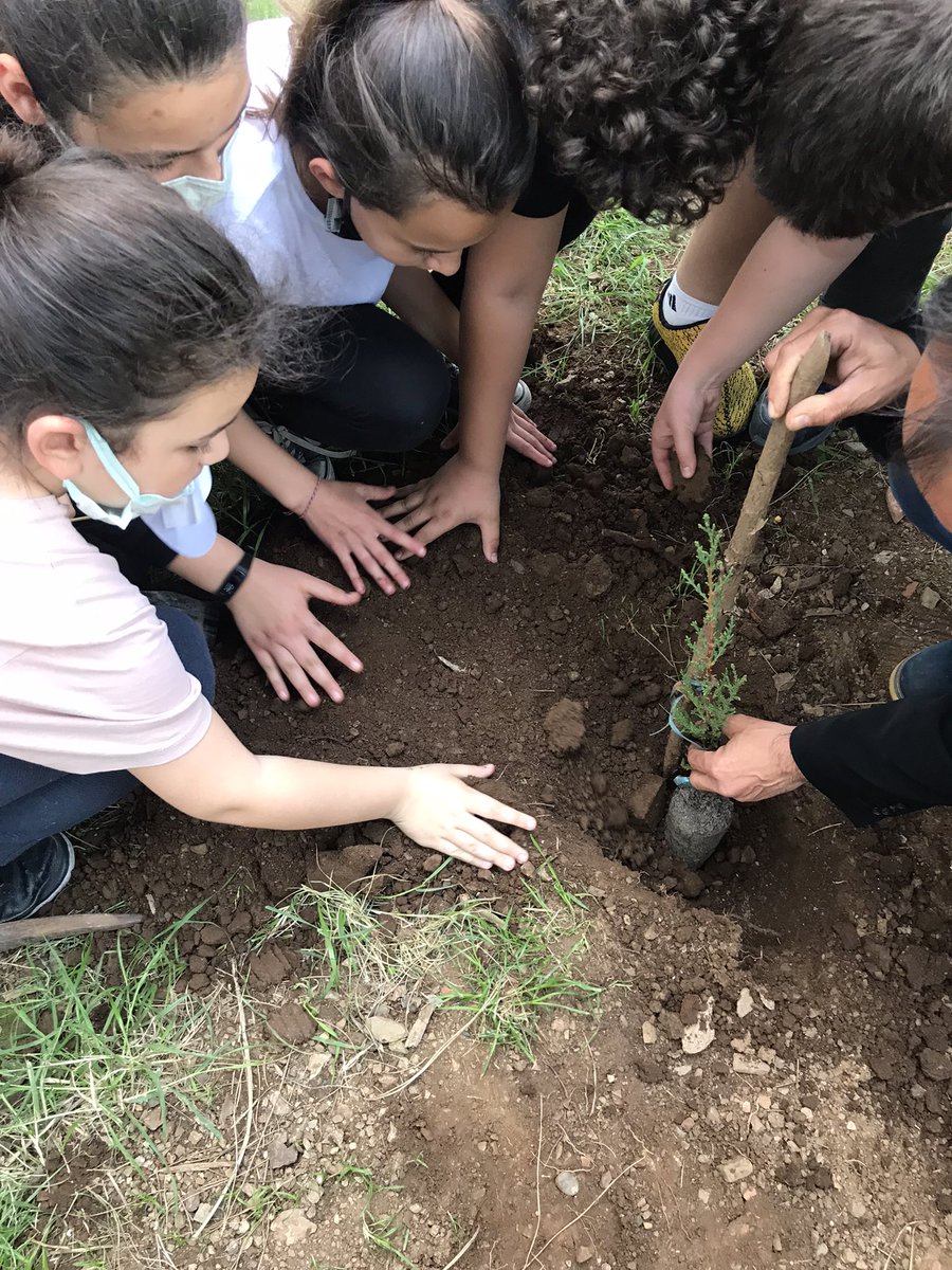 demetkaplanmert's tweet photo. Happy Earth Day 2022🌿🌎
With the help of our school principal, we planted a pine sapling in our school garden and named our project #GREENACT @GreenAct_ @EarthDay @Evrenpasaiokulu @MarmarisMem @sibelkisaerbaa @mugla_mem @etwmarmaris @etwinningmugla @tretwinning https://t.co/qvn7LbmaYl