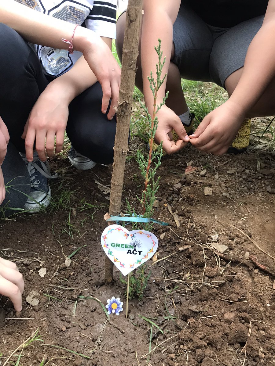 demetkaplanmert's tweet photo. Happy Earth Day 2022🌿🌎
With the help of our school principal, we planted a pine sapling in our school garden and named our project #GREENACT @GreenAct_ @EarthDay @Evrenpasaiokulu @MarmarisMem @sibelkisaerbaa @mugla_mem @etwmarmaris @etwinningmugla @tretwinning https://t.co/qvn7LbmaYl