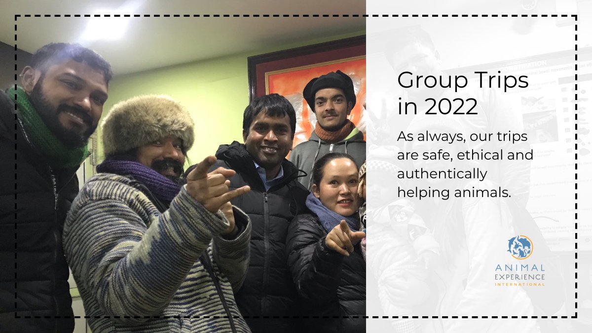 Celebrate Earth Day by traveling to help animals with us! Not sure where you want to go? We made a fun quiz just for you!
- mailchi.mp/a0a417e4cd83/g…