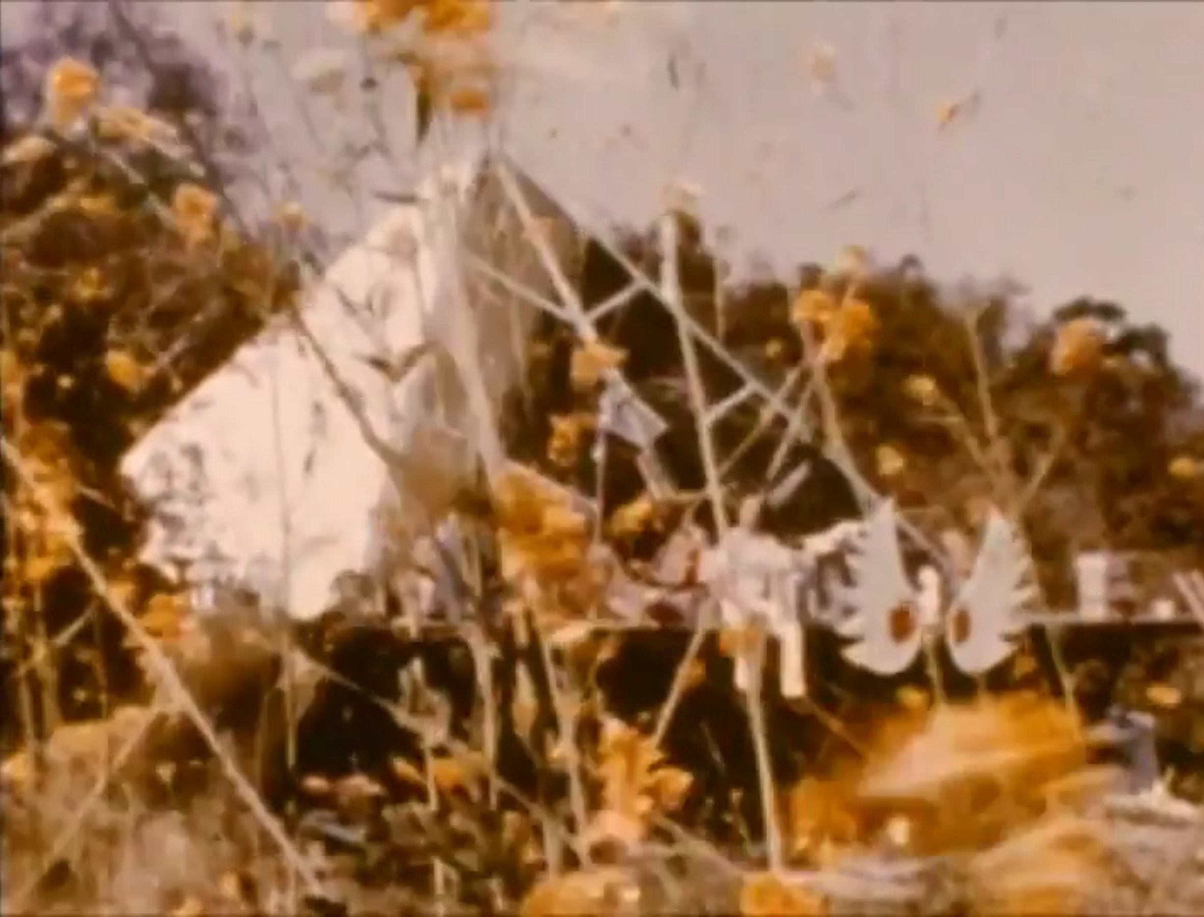 Christine Chubbuck Suicide 34