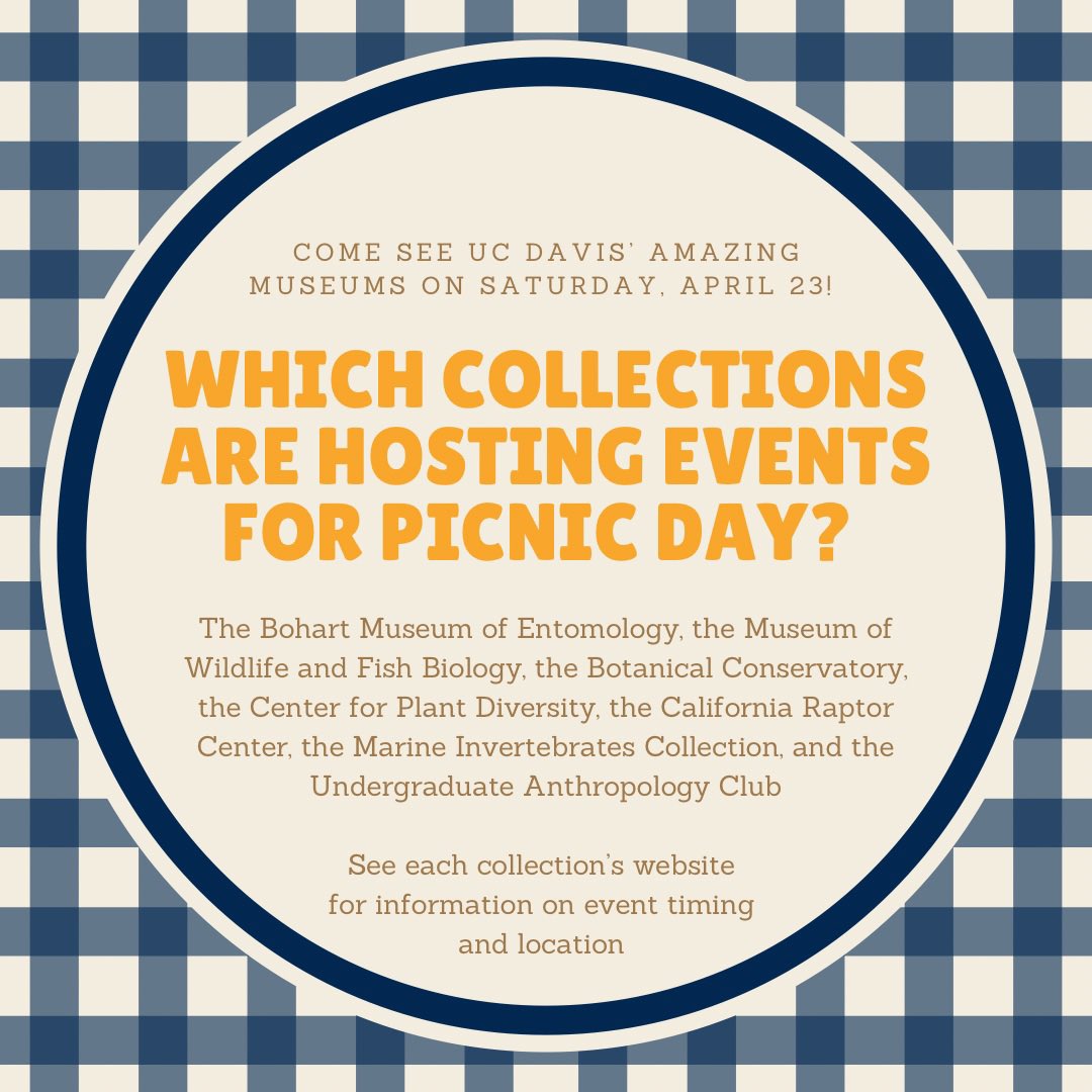 BioDivDay's tweet image. Want to see some of UC Davis’ museum collections?

Visit them tomorrow on Picnic Day! We can’t wait to see you all there!

#UCDavis #BiodiversityMuseumDay #PicnicDay