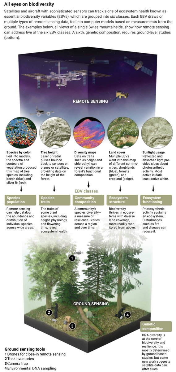 ScienceMagazine's tweet image. Satellites and other remote sensing tools are not only revolutionizing how scientists study ecosystems, they’re also poised to become powerful new tools in the fight to protect them. fcld.ly/ghwk886 #EarthDay