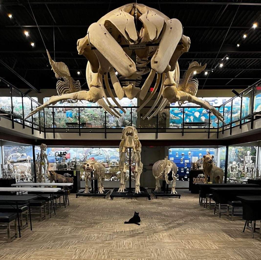 This year our celebration dinner will be Friday June 10 at the Museum of Osteology. Includes a catered dinner, cocktail hour, scavenger hunt, guest speaker, and awards. Our speaker will be Get the Facts Out on "Repairing the Reputation of the Teaching Profession".  Adult only-$30