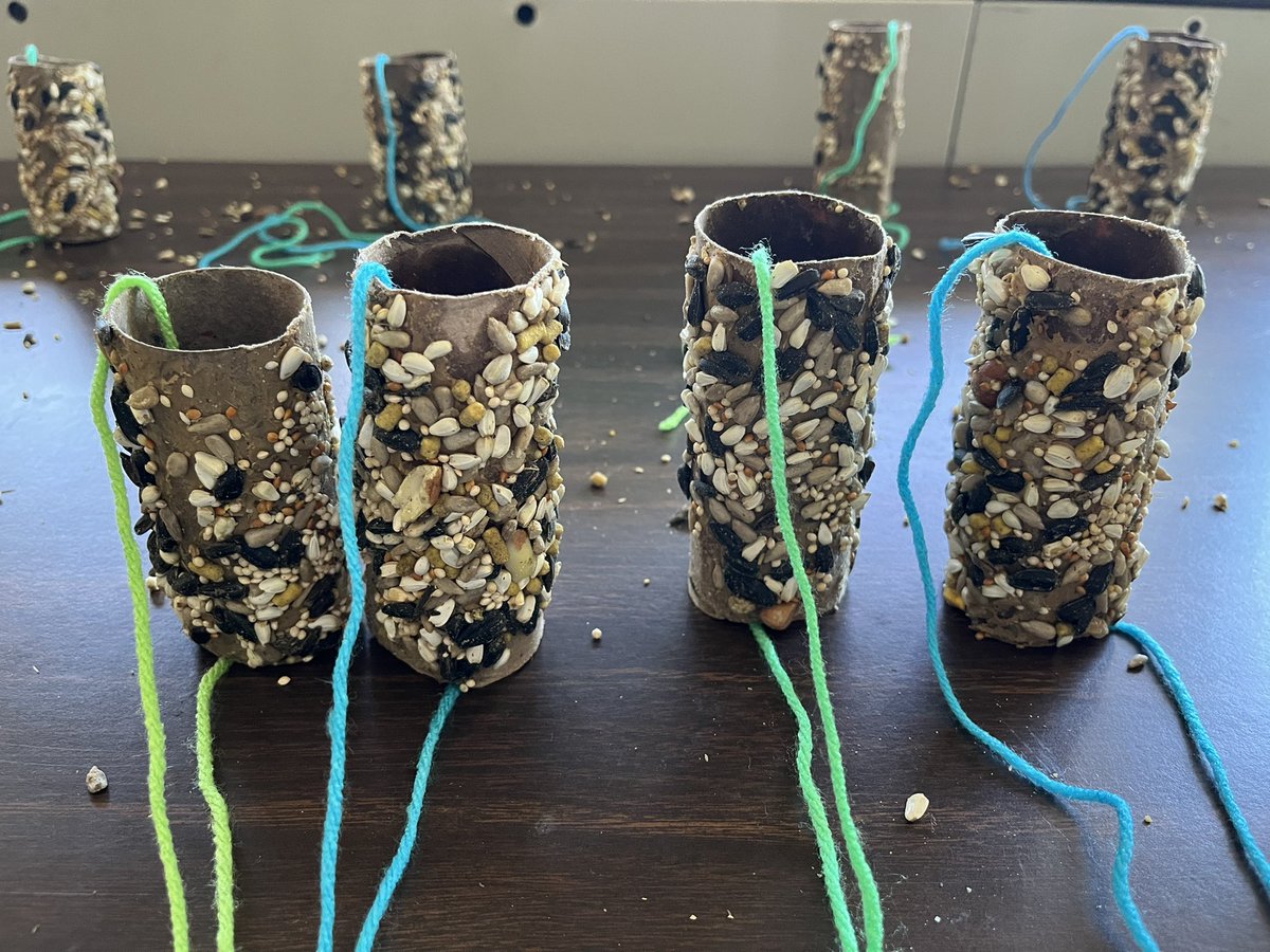 Happy Earth Day! We reused toilet paper rolls to make bird feeders🌎