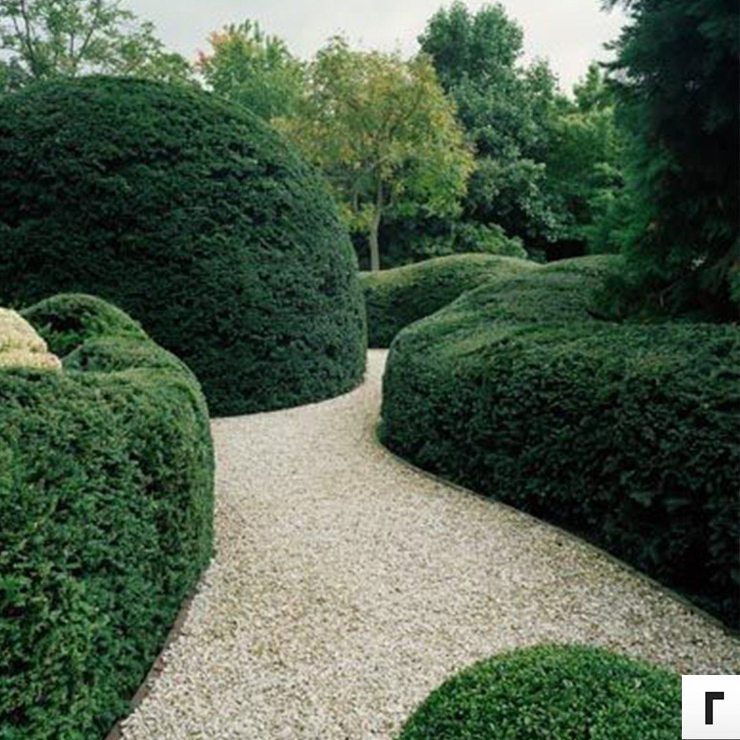 roomhints's tweet photo. #hint love the Earth 🌎 
​
​Oh to have beautiful hedges like this 💗  https://t.co/5WezfcbRrc https://t.co/lF7rpL5kpX