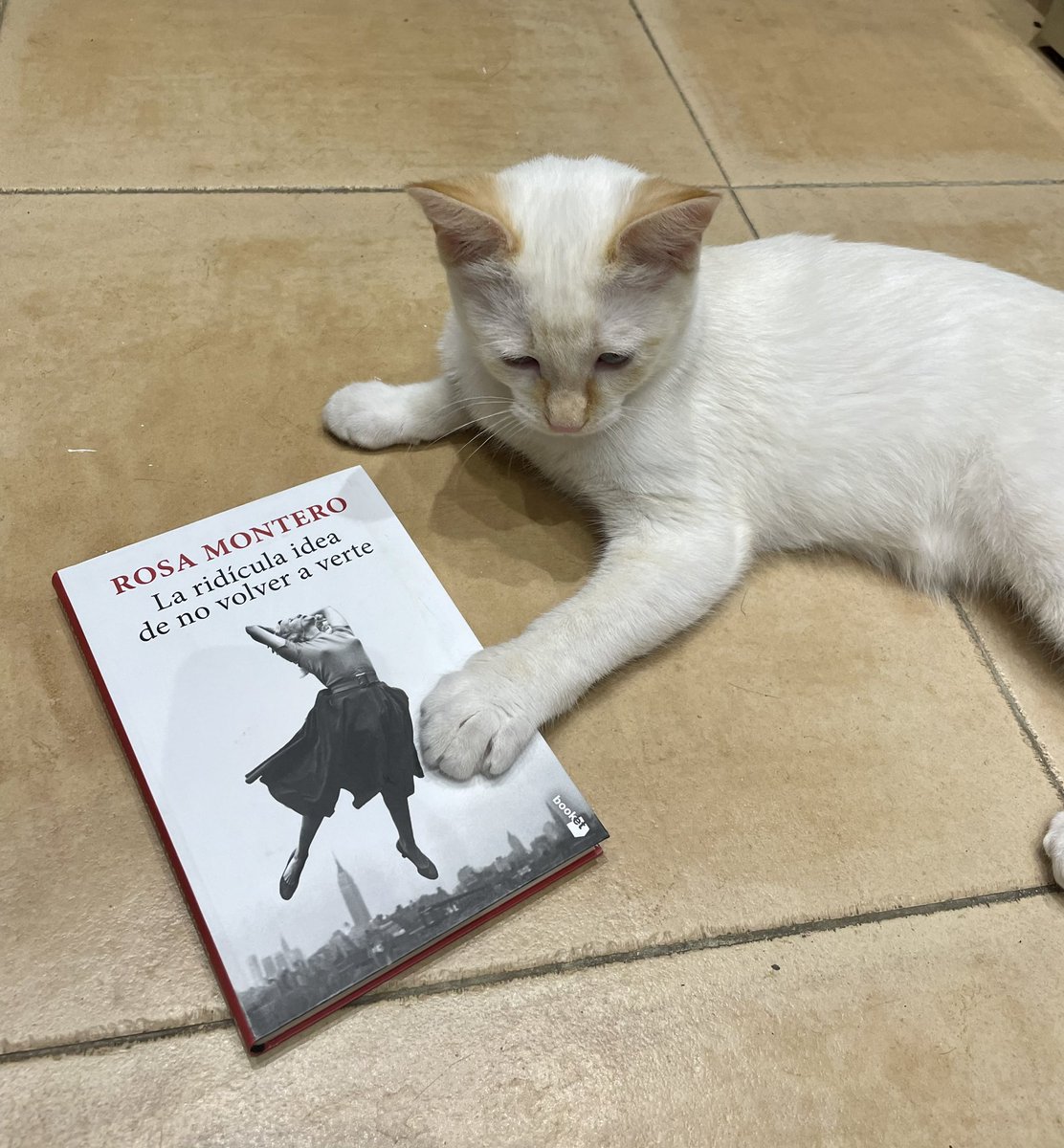 Rociobm1's tweet photo. Pues llegando el #DíadelLibro he incorporado a mi biblioteca personal una recomendación de María Jose😃, ‘La ridículamente idea de no volver a verte’ escrito por #RosaMontero. ¡Gracias, ya te contaré!  Viernes, lluvia 🌧 y libros 📚 😊, a mi #Timina también parece gustarle 😻 🐈. https://t.co/YzyEquG904