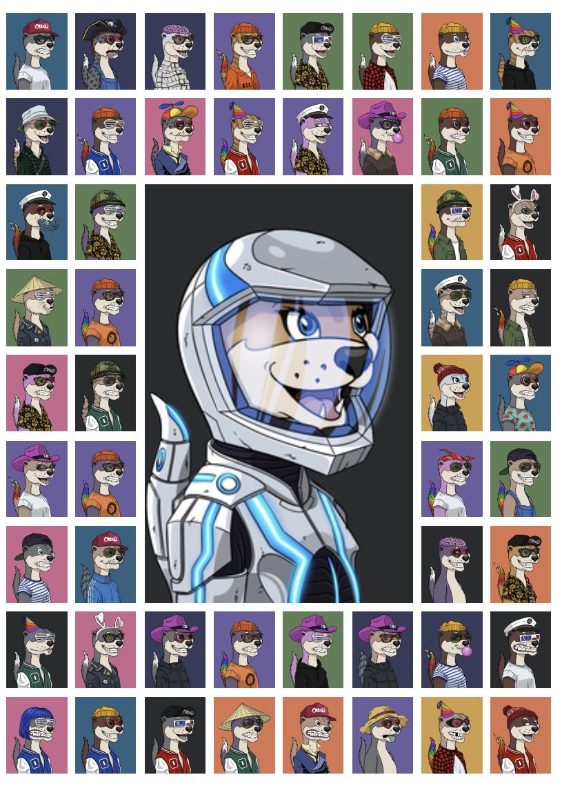 Look further than #Ethereum and meet <a href="/OTTEZnft/">Ottez</a> on #tezos. This #nftcommunity feels like discovering bored apes a year ago. Ready with this crew for the ride including one of the seven 1/1 pieces. A longer Thread 🧵 about this project coming soon. #nft