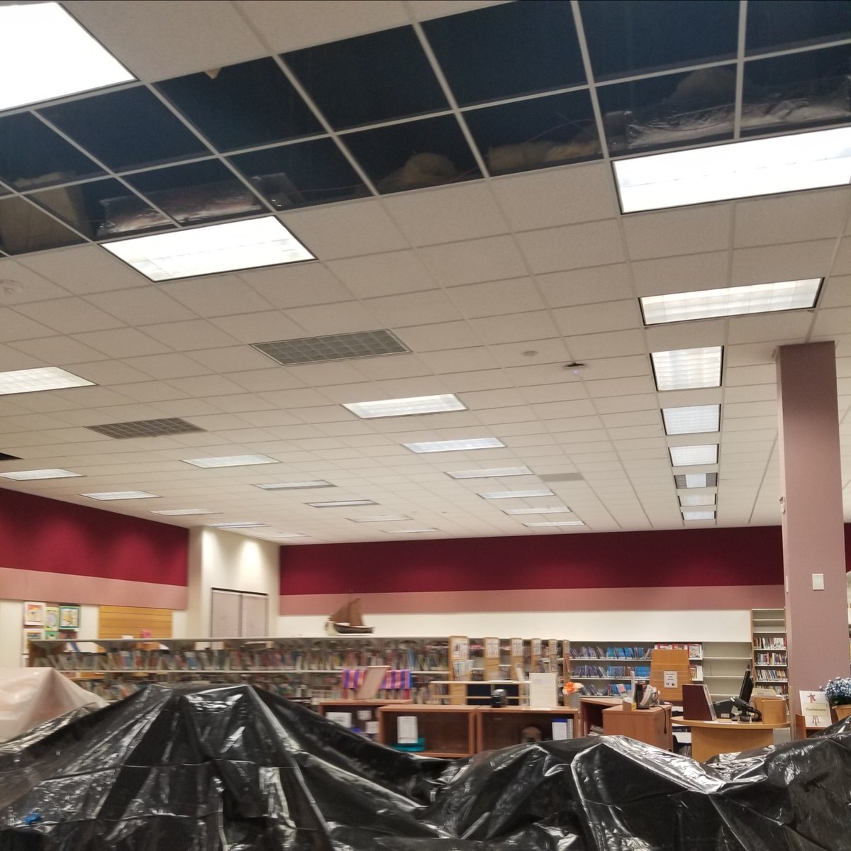 AtascocitaLib's tweet image. What&apos;s happening at the library? Duct work is progressing and the windows have been installed on the meeting room. We will reopen on Monday at 11am and work will continue inside and outside the library.
#harriscountypl #libraryconstruction #librarylife #atascocitatx #atascocita