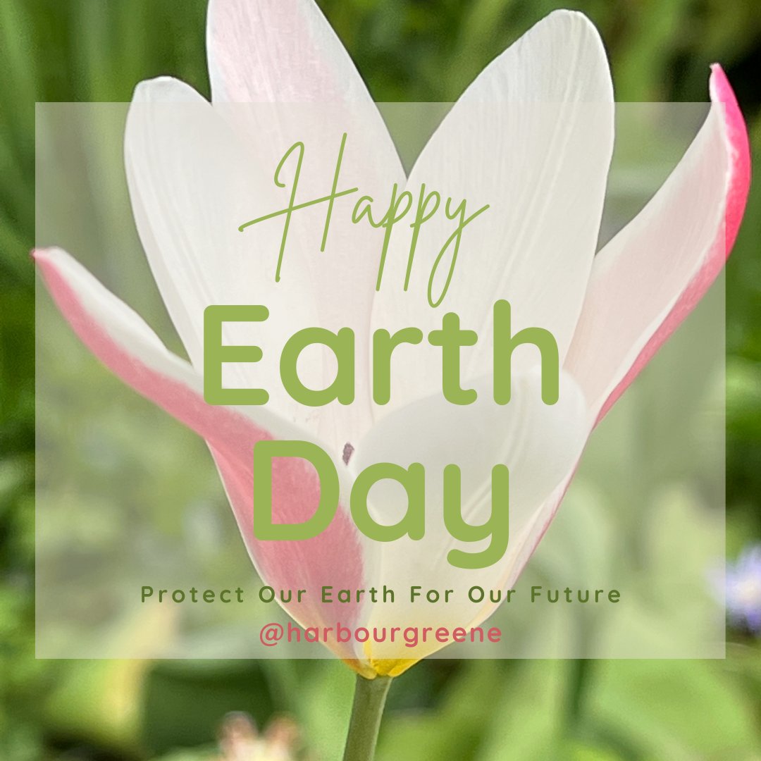 Harbourgreene (@harbourgreene) on Twitter photo 