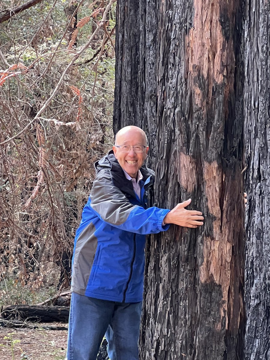 Happy #EarthDay2022! Thank you @abc7david for reporting on the #HugATreeChallenge from  @SempervirensFnd. 20 minutes left to be part of a GUINNESS WORLD RECORDS title! Post a photo of someone hugging a tree on your IG by 1pm PT today!

More information: sempervirens.org/hug-a-tree/