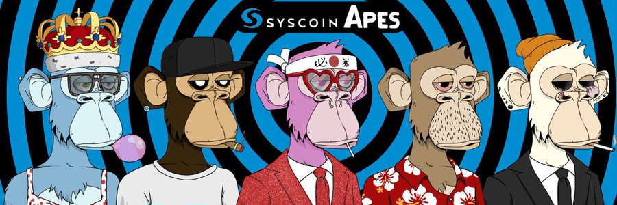 function0x's tweet photo. Continuamos con las asociaciones para la comunidad de @Syscoin en Español.
Se vienen los NFTs a @Syscoin de la mano de @SyscoinApes
Quién está más ansioso por tener uno ?!
Mañana tendremos un sorteo muy especial de los @SyscoinApes
#syscoin #sysarmy #Syscoin #syscoinapes https://t.co/phRoGA8orj