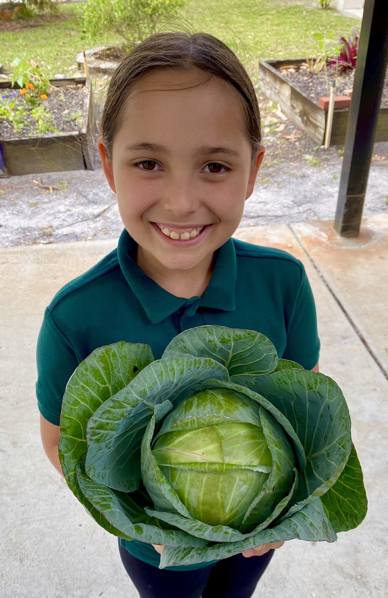 aileen_ashby's tweet photo. Harvest Day #1 in the garden! @JupiterElSchool https://t.co/dov9BndZyk
