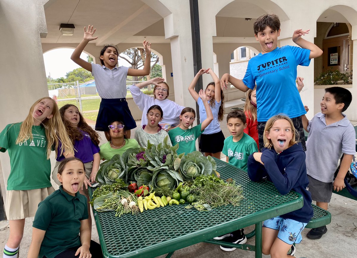aileen_ashby's tweet photo. Harvest Day #1 in the garden! @JupiterElSchool https://t.co/dov9BndZyk