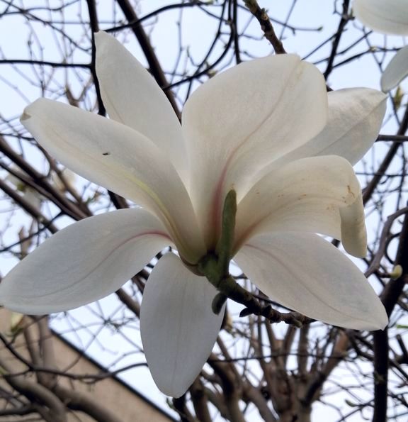 Nováková Věra tweet media