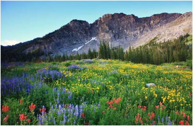 MenHealingOrg's tweet image. Advanced #WeekendOfRecovery - Pay What You Can - in Alta Utah - Reg. is OPEN - #HealingWorkshop for #MaleSurvivors

Theme: Exploring Our Connections With Self and Others.

Open to Anyone Who Has Previously Completed a Level 1 #WOR.

menhealing.wildapricot.org/event-4586098