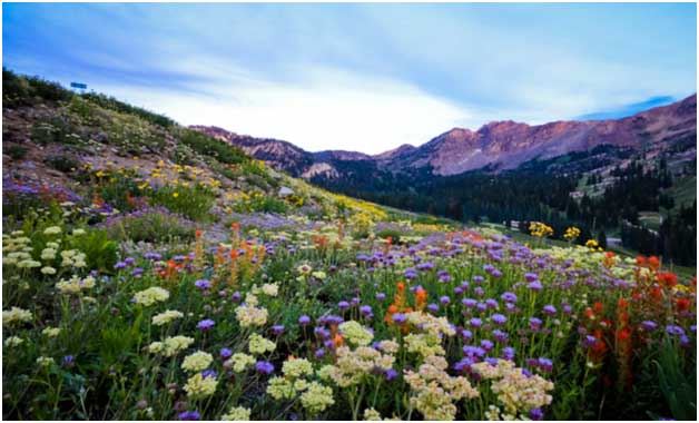 MenHealingOrg's tweet image. Advanced #WeekendOfRecovery - Pay What You Can - in Alta Utah - Reg. is OPEN - #HealingWorkshop for #MaleSurvivors

Theme: Exploring Our Connections With Self and Others.

Open to Anyone Who Has Previously Completed a Level 1 #WOR.

menhealing.wildapricot.org/event-4586098