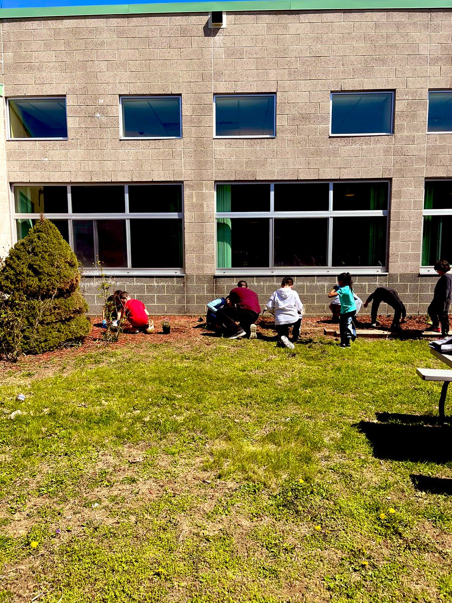 learndaley's tweet photo. Third graders beautified the courtyard at MES for all to enjoy! Happy Earth Day! Thank you for organizing this fun day Mrs. Congelli! https://t.co/KmURk6hYKx