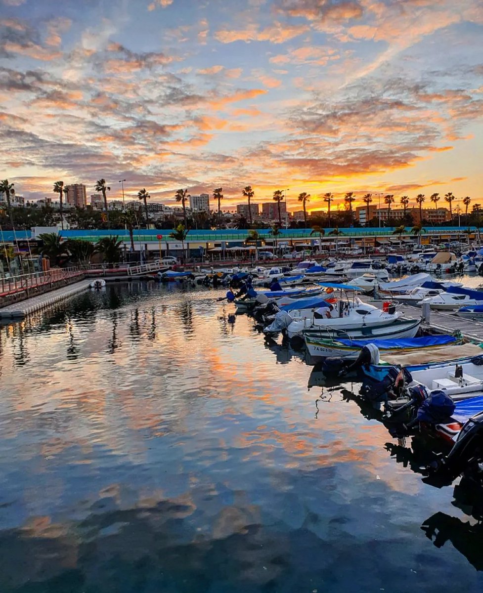 albarodriguezhe's tweet photo. Atardecer! 💙💛💙 #Atardecer #sunset #LasPalmasDeGranCanaria #GranCanaria #IslasCanarias #22DeAbril #FelizFinde @EmocionesCan @TesorosCanarios @gcabrerar80 https://t.co/ZThWXBMOlL